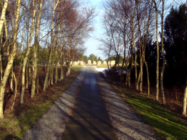 Der Friedhof von SÃ¸nderho