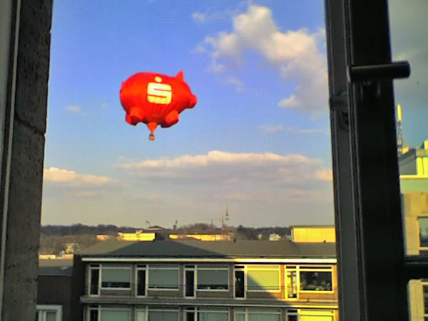 Ballonschwein