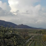 Das Hambacher Schloss